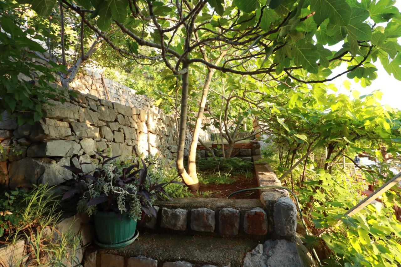 Accommodation Salvia Sveti Juraj Zewnętrze zdjęcie